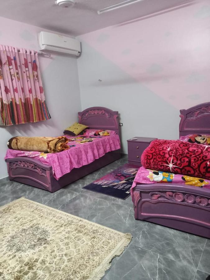 El Prince Guesthouse أسوان المظهر الخارجي الصورة