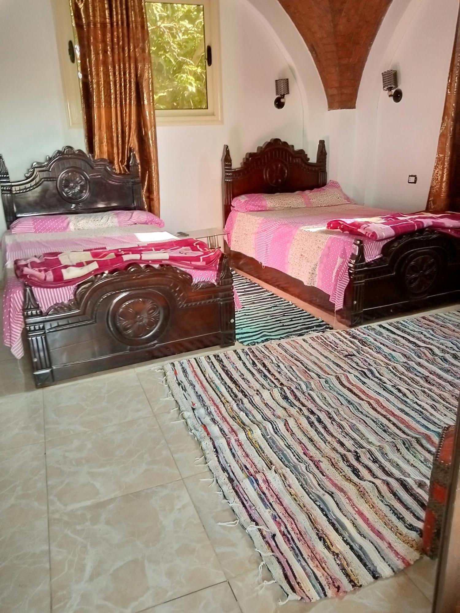 El Prince Guesthouse أسوان المظهر الخارجي الصورة