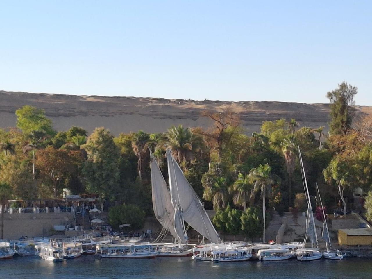 El Prince Guesthouse أسوان المظهر الخارجي الصورة