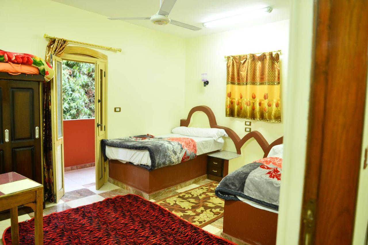 El Prince Guesthouse أسوان المظهر الخارجي الصورة