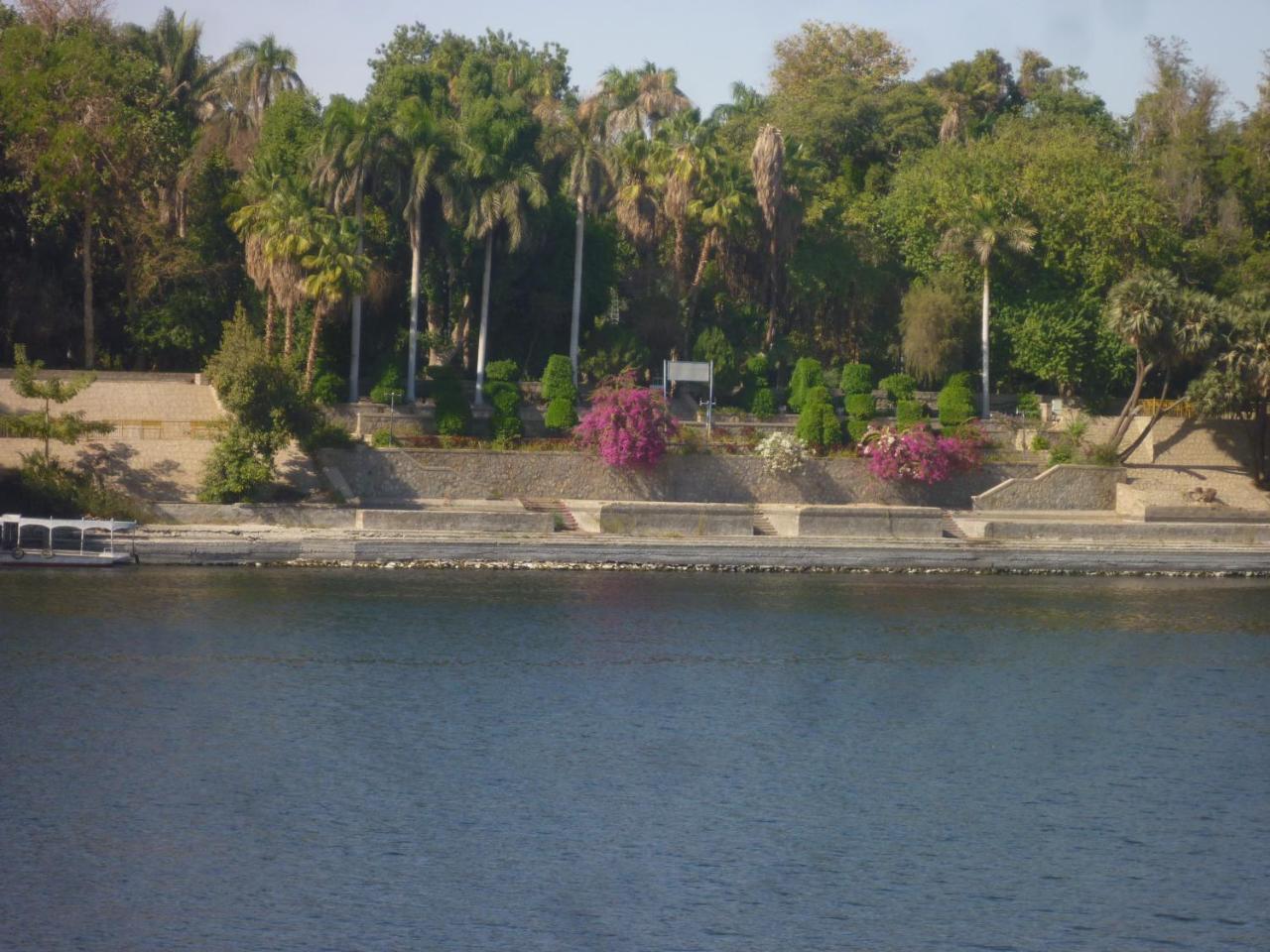 El Prince Guesthouse أسوان المظهر الخارجي الصورة